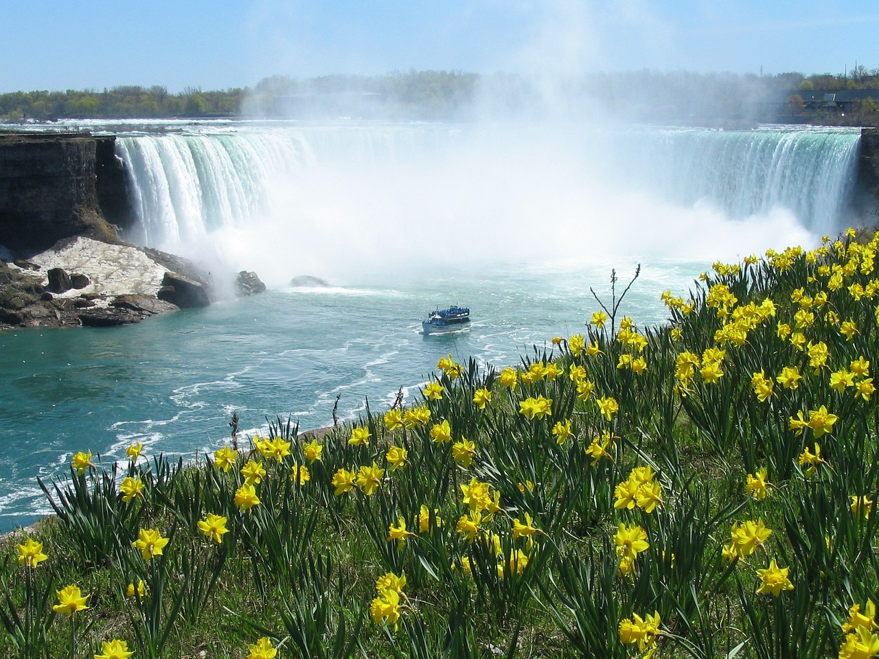 Aventura de 5 días en Niagara Falls y Detroit